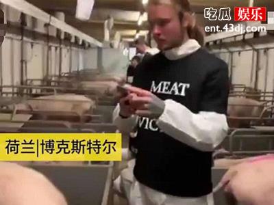 素食主义者要求农场主释放被圈养的猪?理由让人啼笑皆非