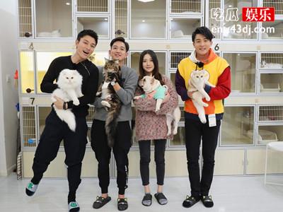 亲爱的来吃饭艺人被批没礼貌 这档综艺的初衷是为了什么