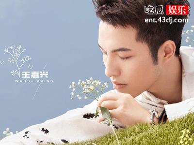 《我们恋爱吧》中王嘉兴是做什么职业的？揭秘他的职业生涯