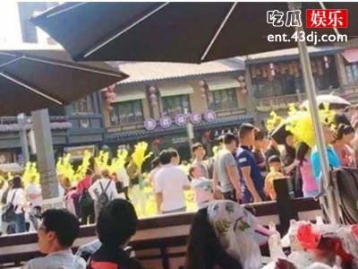 展览花居然也有人抢，好事变坏事被指责