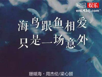 周杰伦歌曲大赏，歌词为“海鸟和鱼相爱”歌名是什么？