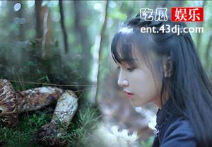 网红李子柒现在怎么了 个人悲惨身世不堪往事大揭秘