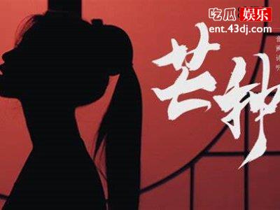 多家卫视遭点名，侵权现象屡禁不止到底是为什么？