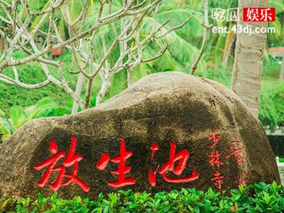 花大价钱买小龙虾放生却被村民抓走了？这到底是怎么回事