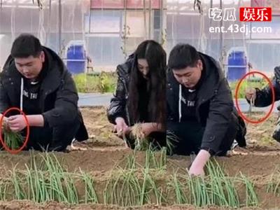 大衣哥陷入舆论，儿媳干农活被批作秀炒作？