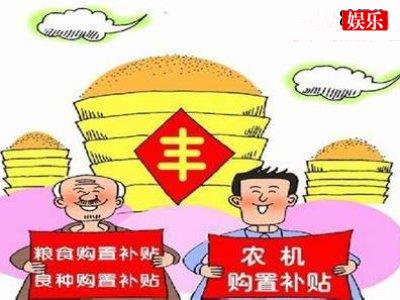 不能错过的三项补贴，农村每个人都有赶紧查看到账没有