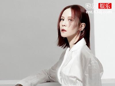 补位歌手杨乃文过往经历起底，为何当年要隐退？