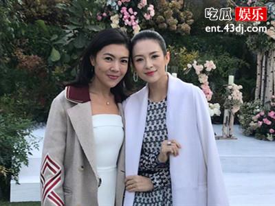 章子怡苏芒被曝互撕，二人究竟发生了什么事情？
