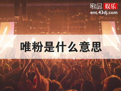 粉丝也分类？唯粉的意思是什么？