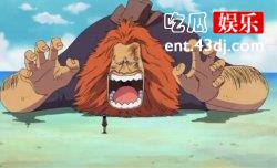 没想到海贼王中的D居然隐藏着惊天秘密