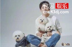 刘柏辛李佳琦居然是兄妹，一张混血脸父母是谁？