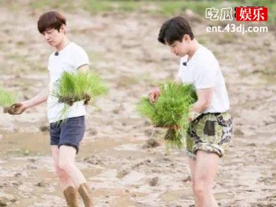 《向往的生活》谁是团宠，没想到会是她