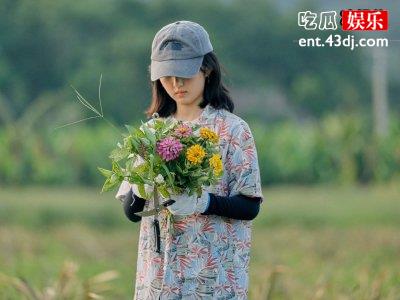 《向往》遭遇滑铁卢，内容无聊被吐槽！