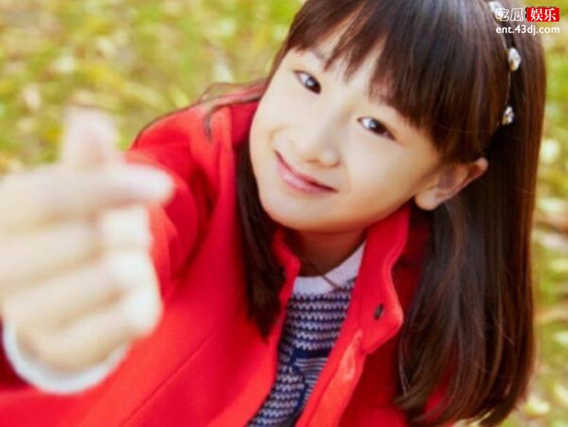 网友调侃森碟一家四口用一张脸