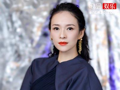 章子怡关联公司被强制执行约283万元 究竟发生了什么事