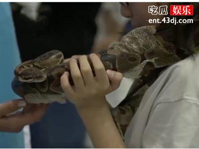 日本养宠物成风 年轻人不养孩子甘愿养宠物