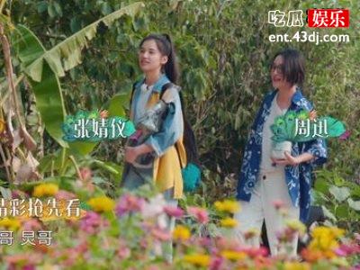 《向往4》口碑出现逆袭，从开始差评不断到现在的好评！