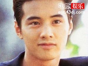 元斌为什么退出娱乐圈了 元斌在最红的时候有多火