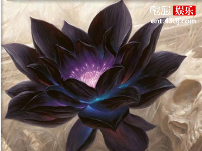 黑莲花居然是形容魏璎珞，该词意思是什么？