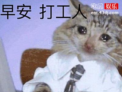 网梗“打工人”是褒义还是贬义，其中意思什么？