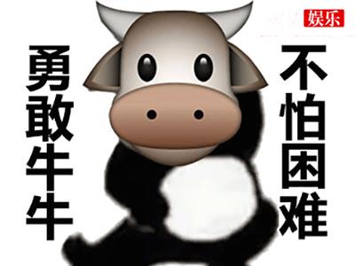 勇敢牛牛不怕困难是什么新梗？这个梗出自哪里？