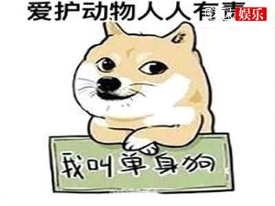当代人单身太久的三大特征你有吗？网友大喊这不就是我本人吗？
