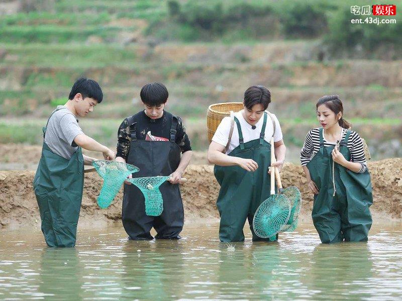 《向往的生活》男女明星差距真大！网友：女明星真做作1