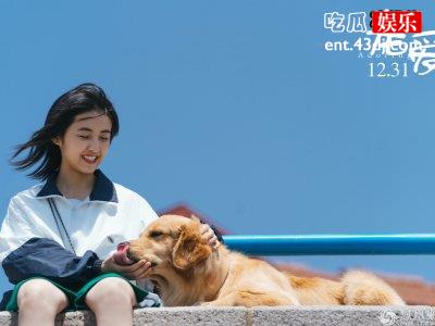 《宠爱》大龄父亲于和伟追星，没想到为女儿还求签名！