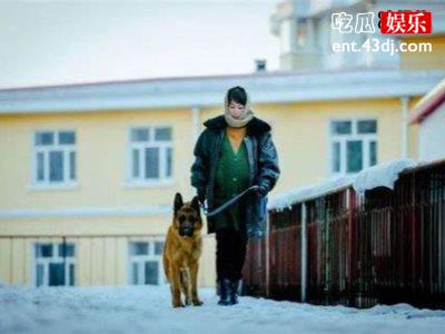 东北虎电影天堂免费在线观看，高清电影现在看如何？