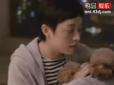 电视剧《安家》热播中，孙俪饰演房似锦颇受好评收视率飙升!
