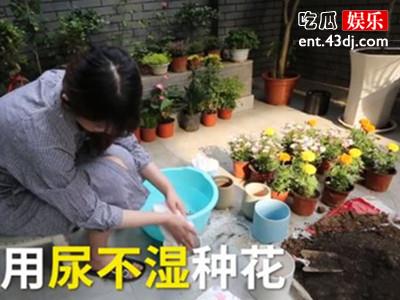 种花界天花板，尿不湿种花闻所未闻！