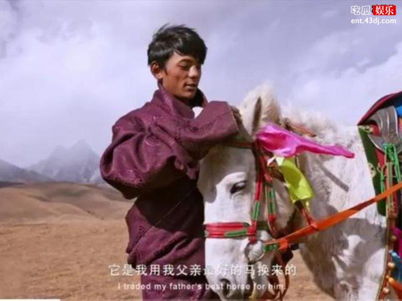 丁真是怎么火的？营销还是偶然？