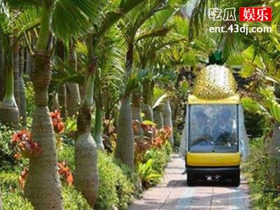 不是吧！这种水果你吃了估计要破产