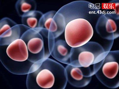 干细胞护肤时代来临，这样的护肤品是什么？