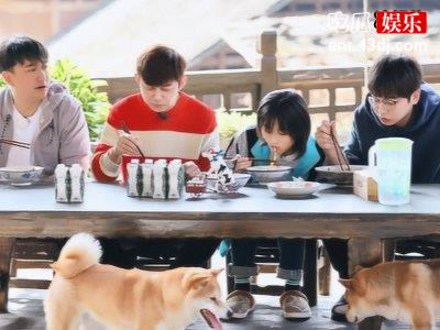 《向往4》宋丹丹返场，“老舅”陈赫惊喜加盟！