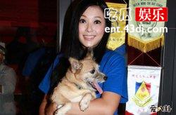 名媛傅明宪与富豪老公叶剑波离婚，二人离婚是傅明宪放飞自我原因？
