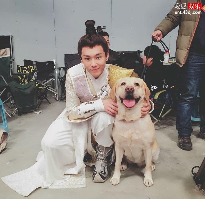 UNIQ组合李汶翰晒柴犬 喜欢猫狗被赞好暖男