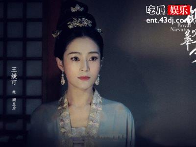 《鹤唳华亭》快节奏剧情引人注目，网友：快来追剧！