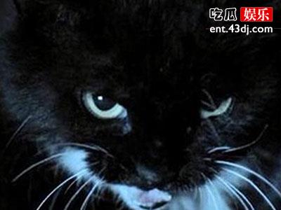 猫脸老太太事件， 真的有猫脸老太太吗事情真相是怎样的