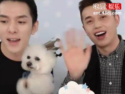 李佳琦直播间杨幂火力全开？高情商反应引全网称赞