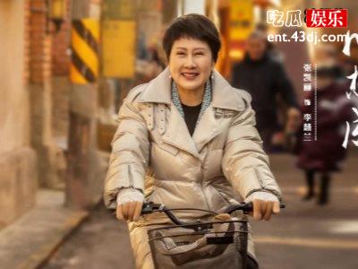 心想事成电视剧一共多少集？在哪个平台开播