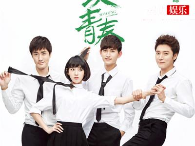 电视剧致青春剧情介绍, 剧版结局和原著有出入？