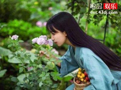 李子柒粽子视频被韩国网友吐槽，还被举报下架理由很奇葩