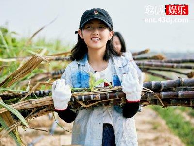王珞丹喊话向往的生活节目组，无奈追问：这货能退吗