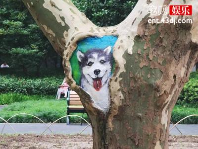 上海一公园树洞大“变脸”，这样有趣的树洞最后违规了？