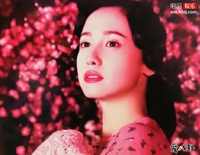 泽尻英龙华吸毒是真是假