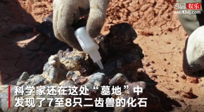 恐龙墓