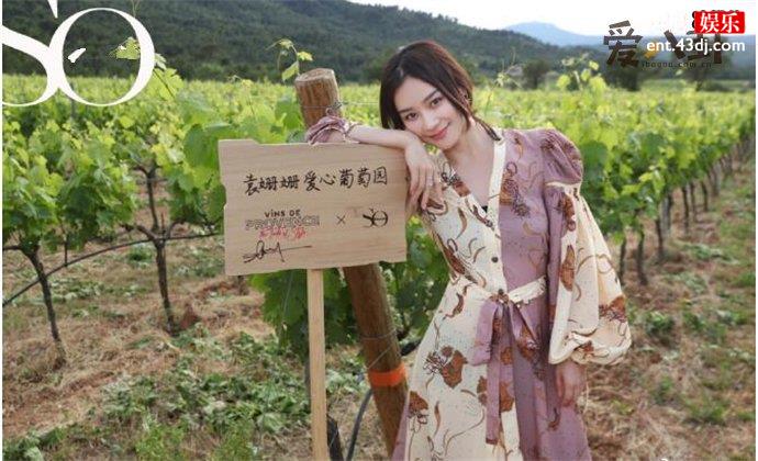 袁姗姗为什么会被黑