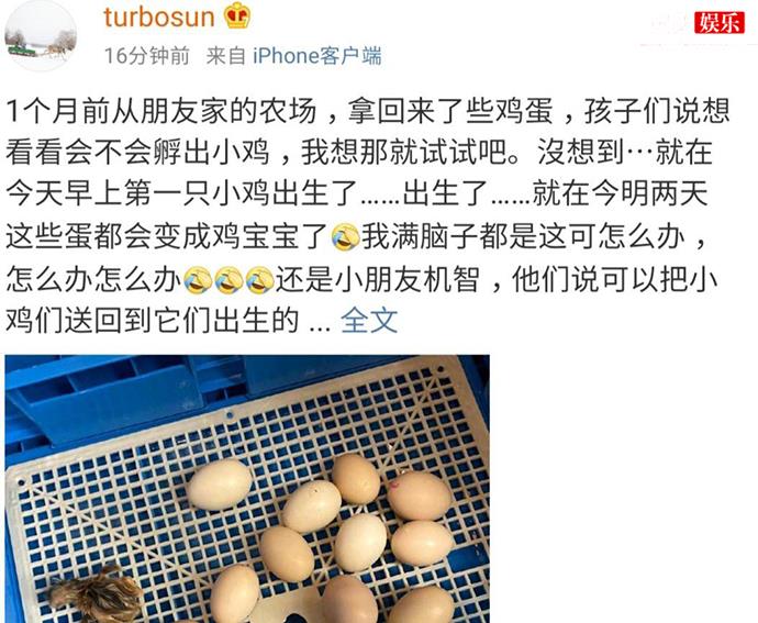 孙俪家添新丁是怎么回事