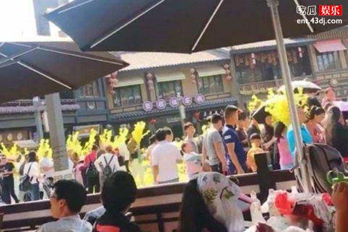 游客哄抢展览花